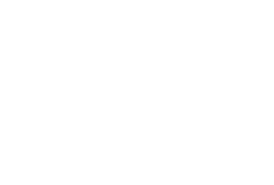 PTS_Logo-white