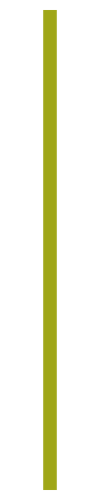 TES PTS Line