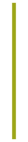 TES-PTS-Line.png